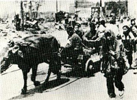 創業当時の牛車の写真